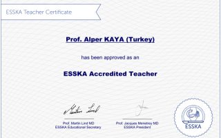 Teacher-Certificate-Alper-KAYA
